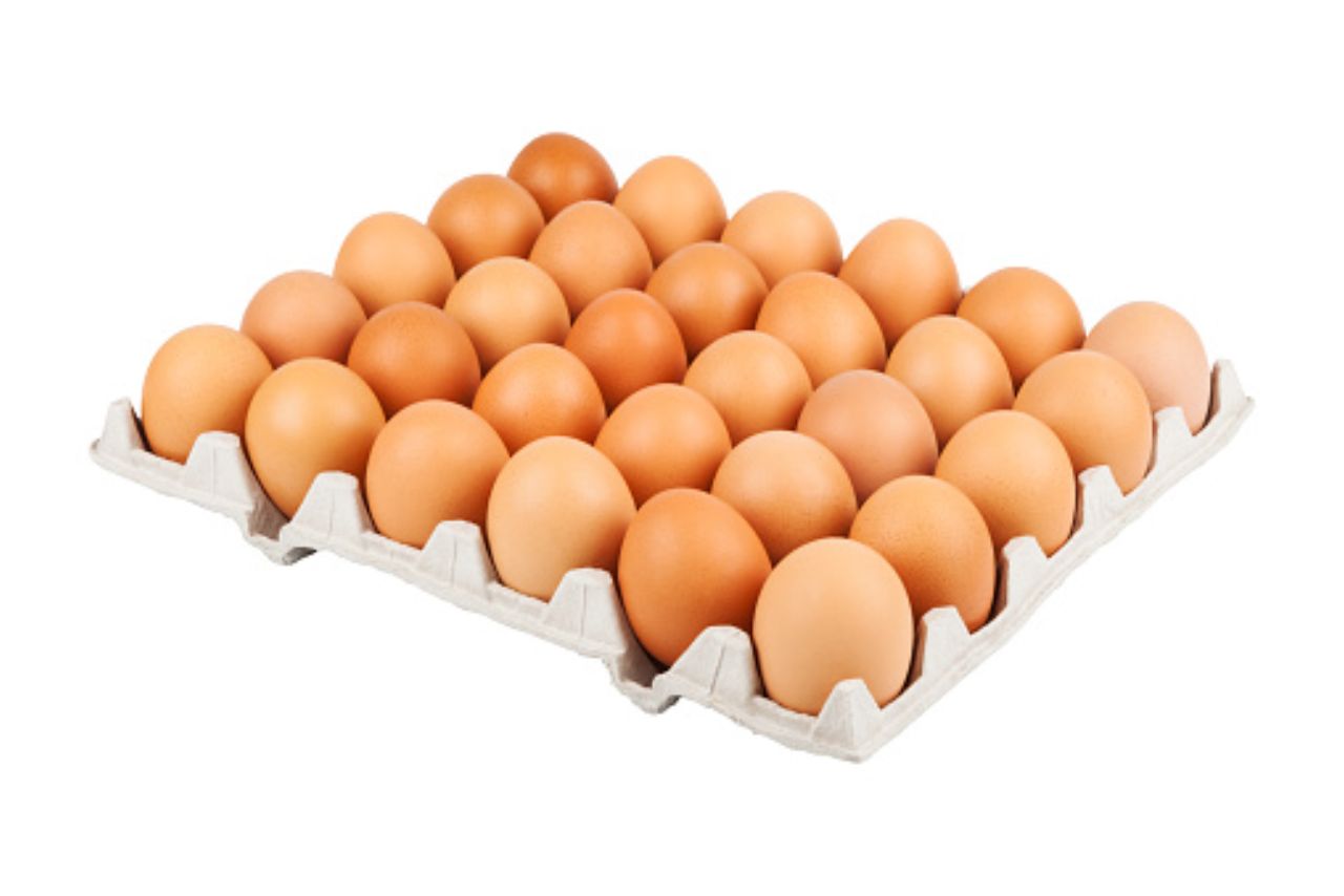 Why Are Duck Eggs Not Sold In Stores? Here Is the Secret Truth!